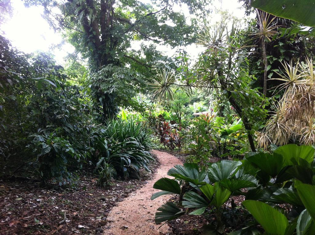 Finca Verde Lodge Бихагуа Экстерьер фото