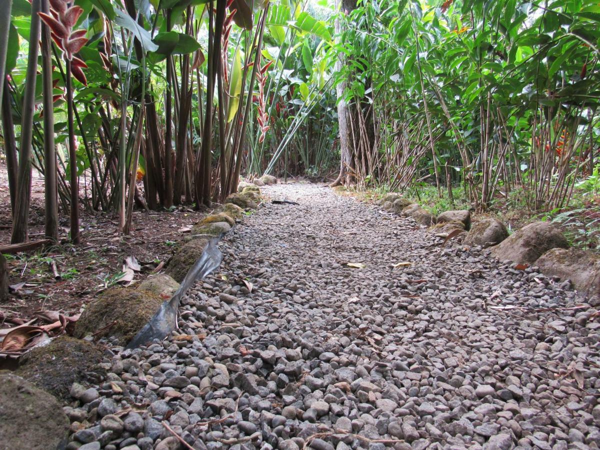 Finca Verde Lodge Бихагуа Экстерьер фото