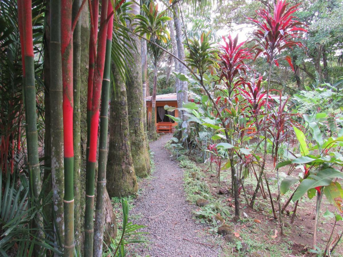Finca Verde Lodge Бихагуа Экстерьер фото