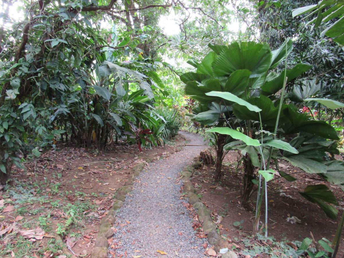 Finca Verde Lodge Бихагуа Экстерьер фото